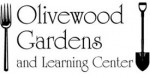 Olivewood